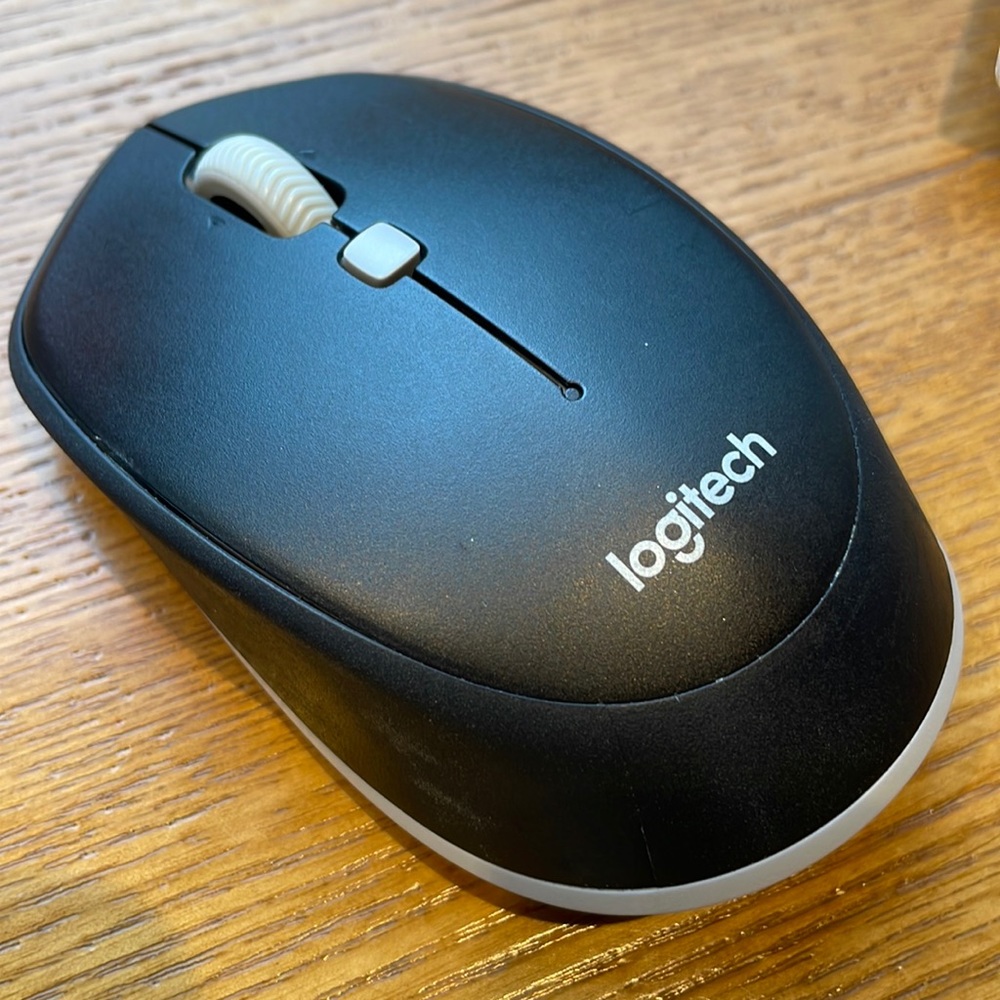 mouse
